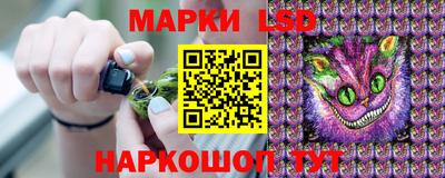дурь Кингисепп