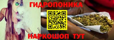 шишки Коммунар