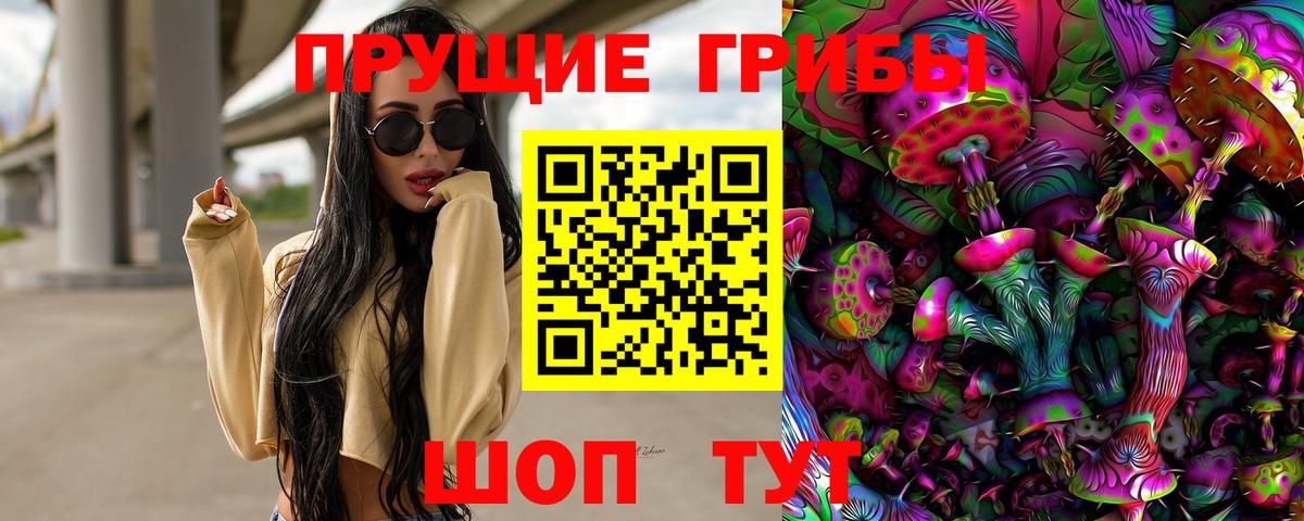 Псилоцибиновые грибы Psilocybe  Галлюциногенные грибы GOLDEN TEACHER  Вход с VPN  Ефремов 